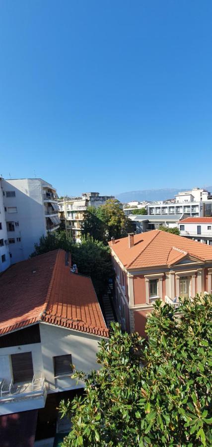 Cozy Penthouse Apartment ตริกาลา ภายนอก รูปภาพ